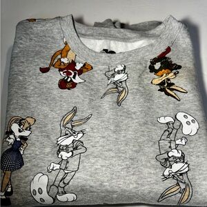 Warner Bros. Gray Graphic Sweatshirt